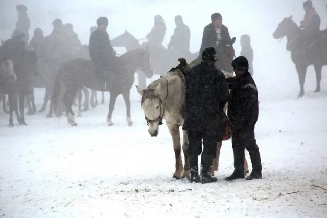 Козлодрание