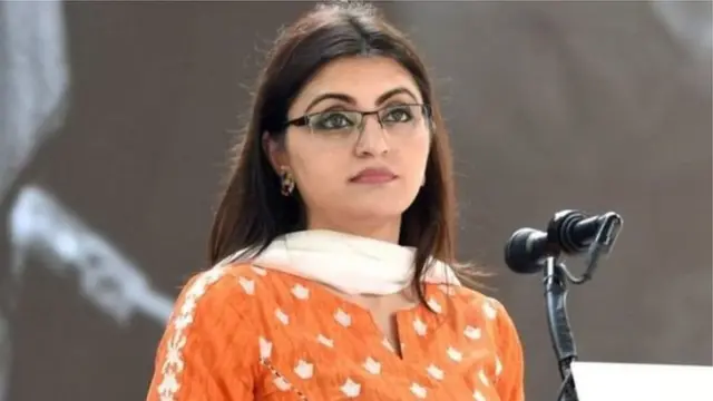 ګڼو پاکستانيو برېښنايي رسنیو د اغلې اسماعیل پر ضد بیانونه خپاره کړي او نوموړې يې 'خاینه' بللې، خو ورسره بیا ګڼو فعالانو او سیاستوالو د ګلالۍ اسماعیل پر ضد د پولیسو رپوټ غندلی دی.