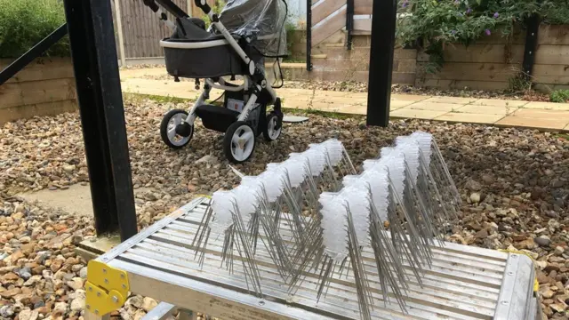 Des pointes anti-pigeon