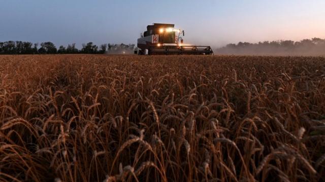 Plantaçãoapostas online na loteria dos euatrigo com trator ao fundo