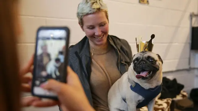 Mujer tomando una foto su pug, sobre el que colocó una corona de papel