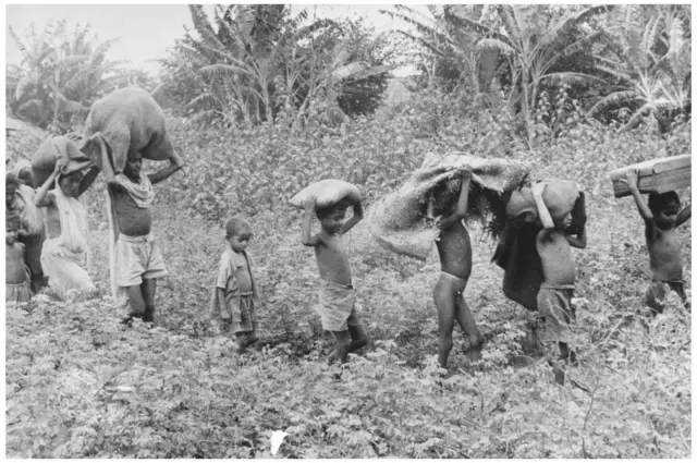 భారత ఆర్థిక పరిస్థితి