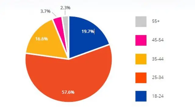 پاکستانی فری لانسرز