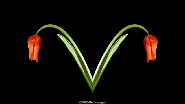 महिलाएं