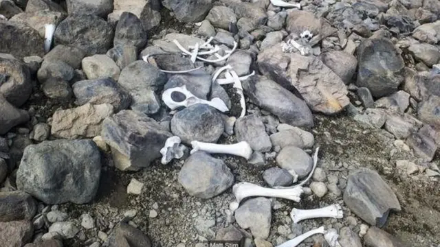 बर्फ के नीचे जमे पुरातात्विक अवशेषों को बचाना क्यों ज़रूरी है?