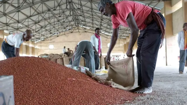 பயிர் விளைச்சல்