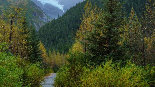 Árvores e montanhascomo sacar dinheiro na sportingbetpaisagem no Alasca