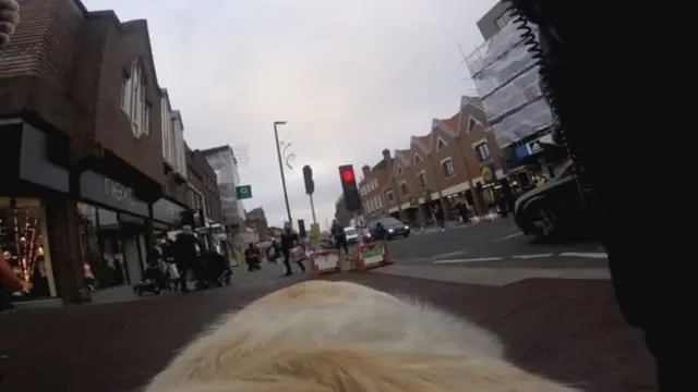 अमित पटेल