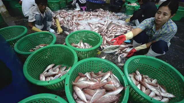 แรงงาน เมียนมา พม่า ระนอง สะพานปลา