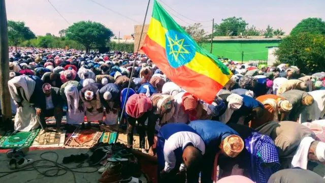 Magaalaa Moojoo