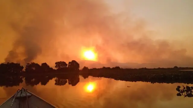 Fumaça preta sobe em meio a árvores do Pantanal