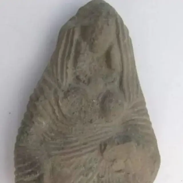 மார்பக வரிக்கு எதிரான போராட்டம்