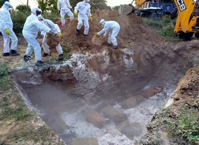 బర్డ్ ఫ్లూ