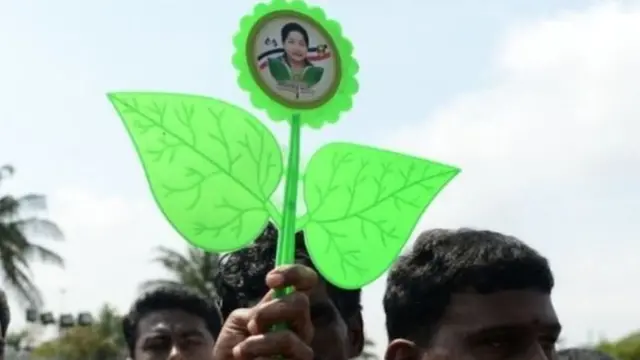 இரட்டை இலை