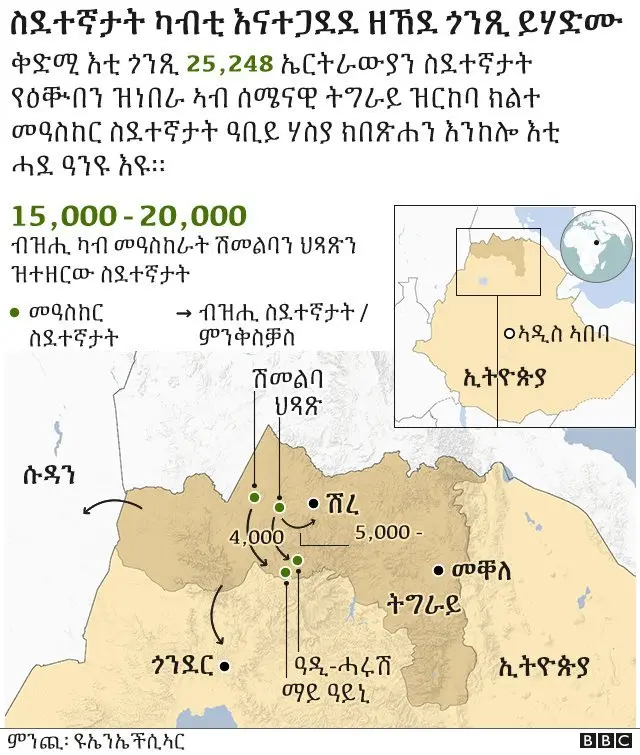 ንኩነታት ስደተኛታት ኣብ ትግራይ ዘብርህ መግለጺ