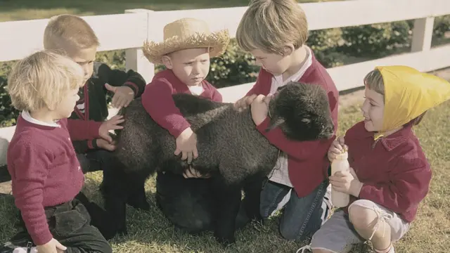 Cinq petits enfants jouent avec un bébé agneau noir