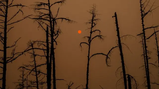 Якутия, лесные пожары, июль 2021 года