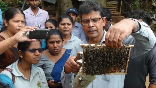 කෘෂිකර්ම උපදේශක ජයන්ත කත්‍රිආරච්චි ඇතුළු නිලධාරීන් මී මැසි ජනපද පරීක්ෂාවට ලක්කරමින්.