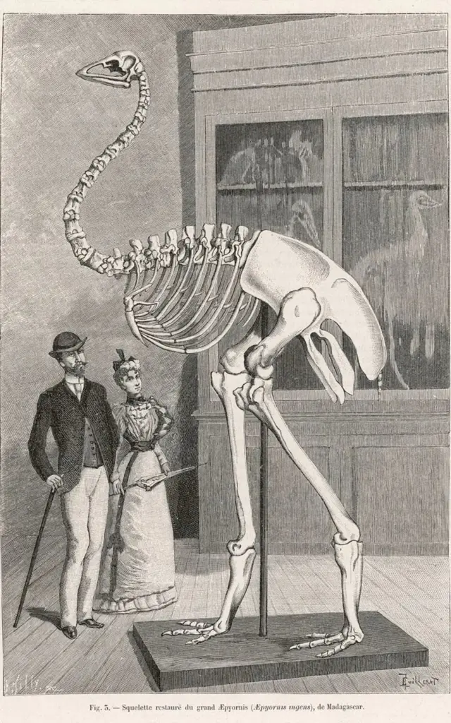 డైనోసార్