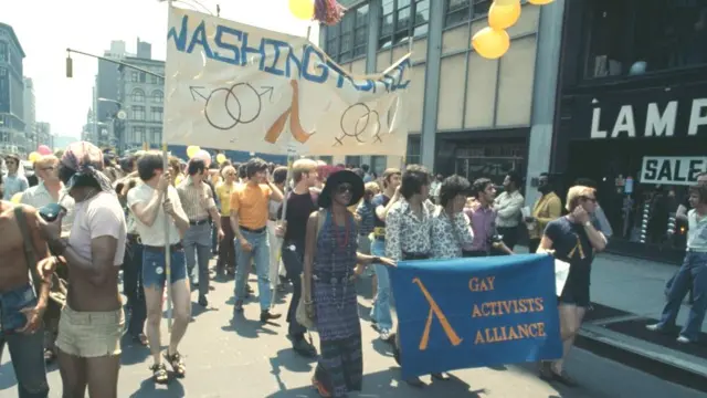 سال‎ها بعد از اولین راهیپمایی‎ها برای حقوق همجنس‎گرایان، نام رژه افتخار به این رویدادها داده شد.