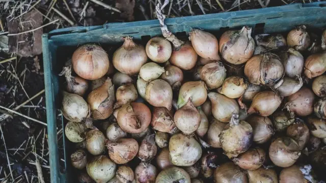 தமிழகத்தில் அதிகரிக்கும் வெங்காய விலை: என்ன காரணம்?