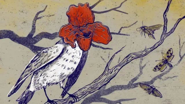 Imitiranje cveta: novi način na koji će ptice privlačiti i loviti insekte?