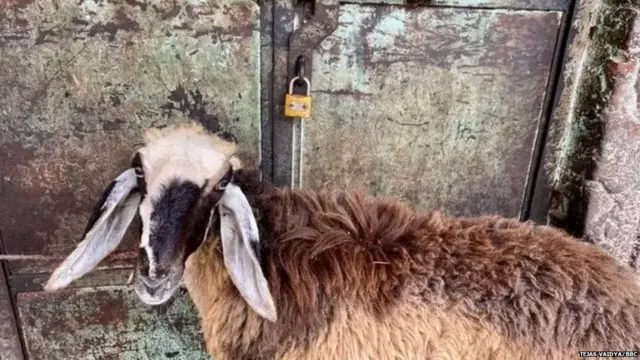 ਬਿਲਕਿਸ ਬਾਨੋ ਦਾ ਗੁਜਰਾਤ ਵਿੱਚ ਪਿੰਡ ਰਣਧੀਕਪੁਰ