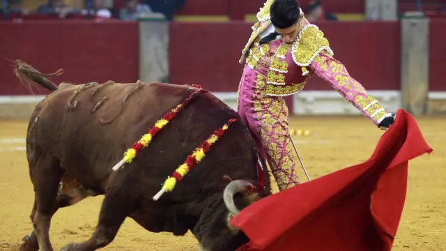 बुलफाइटिंग