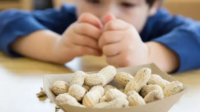 Niño comiendo maníes o cacahuetes