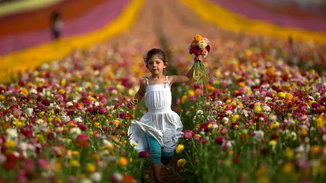 ઇઝરાયલના ખેડૂતની દીકરીની ખેતરમાં પ્રતિકાત્મક તસવીર