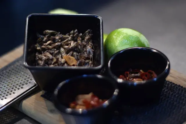 చైనా, బొద్దింకలు