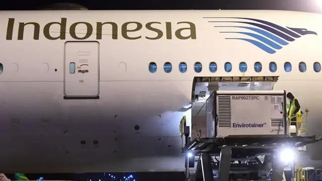 సినోవ్యాక్