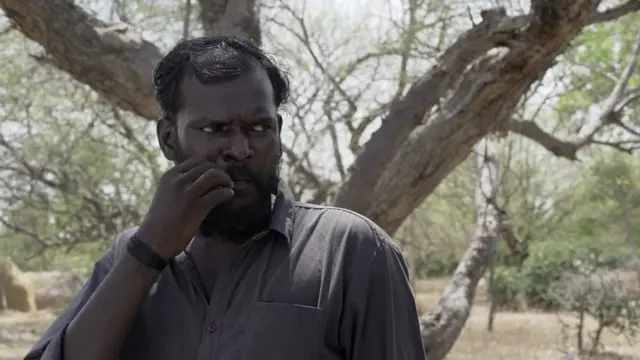 திரைப்படம்