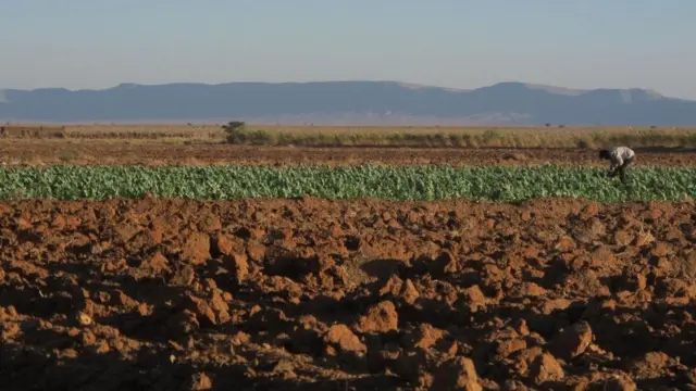 pembangkit tenaga surya