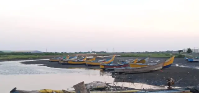 మడ అడవులు