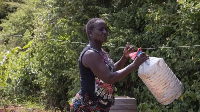 Moki a créé son propre système d'alarme pour signaler l'approche des éléphants.