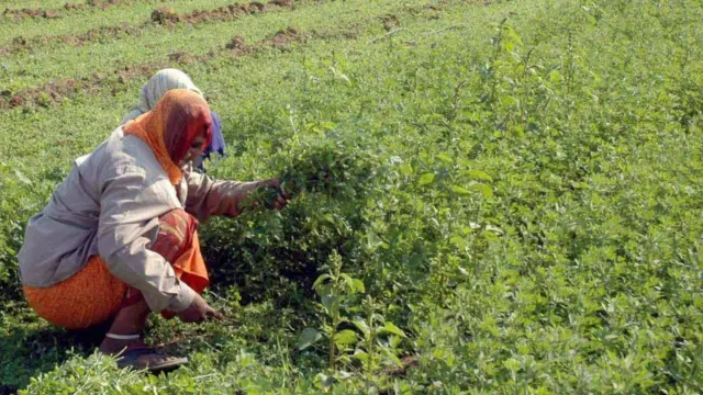 ખેડૂત દેવું