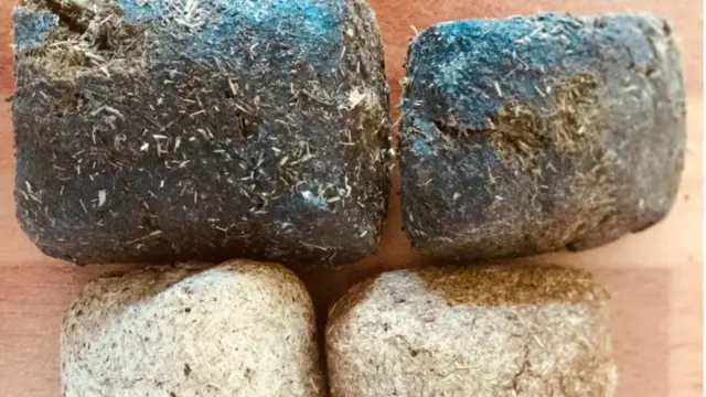 Экскременты-кубики