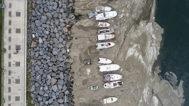 Рыбацкие лодки в морской слизи