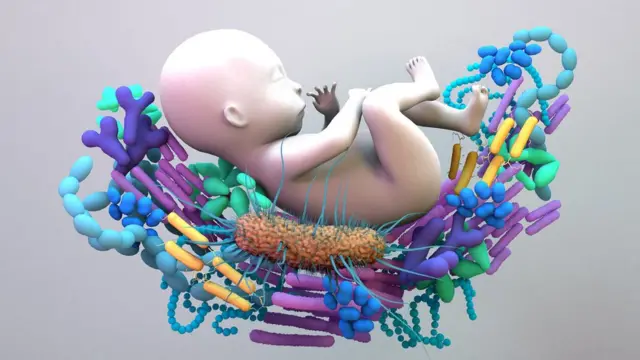 ਅੰਦਰਾਂ ਦੇ ਮਿੱਤਰ-ਬੈਕਟੀਰੀਆ ਦੇ ਪੰਘੂੜੇ ਉੱਪਰ ਪਏ ਬੱਚੇ ਦੀ ਸੰਕੇਤਕ ਤਸਵੀਰ (ਗ੍ਰਾਫਿਕ)