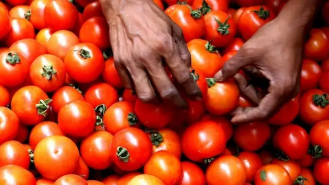 ટામેટાં