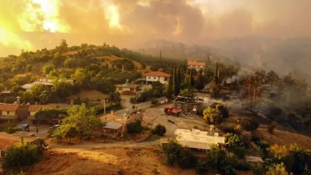 ਦੇਸ਼ ਵਿੱਚ ਜੰਗਲਾਂ ਵਿੱਚ ਅੱਗ ਹਰ ਸਾਲ ਲੱਗਦੀ ਹੈ ਪਰ ਇਸ ਸਾਲ ਹਾਲਾਤ ਕਾਫੀ ਗੰਭੀਰ ਹਨ