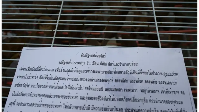 คำอธิฐานปล่อยสัตว์ที่ทางร้านจัดเตรียมมาให้สำหรับลูกค้าที่ซื้อสัตว์จากทางร้านไปปล่อย