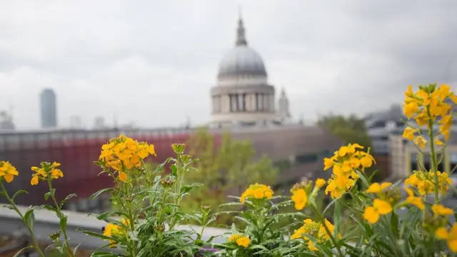 Vista do jardim do Eversheds