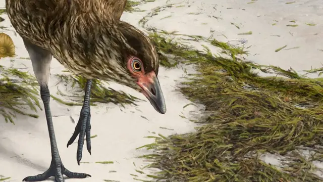 Kako je ptica mogla da izgleda