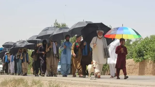 د سولې کاروان