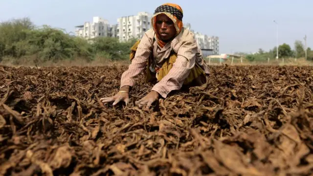 ખેડૂત બહેન