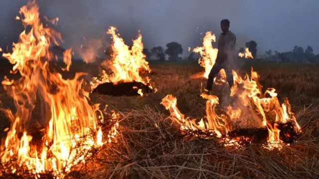 Фермеры сжигают стерню в Индии, ноя 19