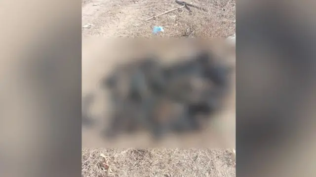 မြင်းမူမြို့နယ်မှာ မီးရှို့ခံထားရတဲ့ ရုပ်အလောင်းများ