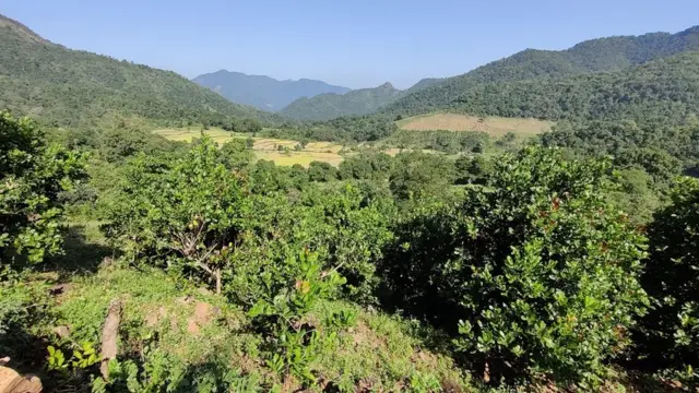 విశాఖ ఏజెన్సీ